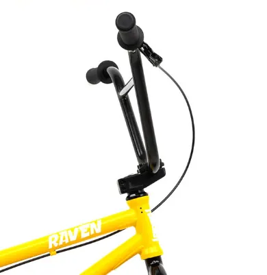 Фото Raven 21